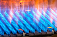 Falside gas fired boilers